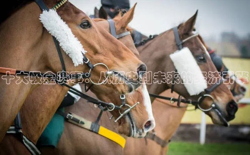 十大吸金赛事：从历史到未来的经济引擎