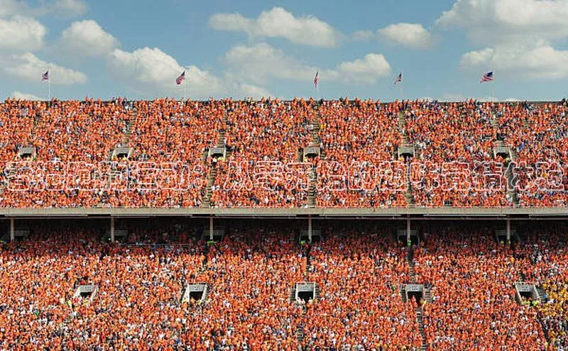 香港跑狗运动：从零开始的趣味竞猜体验