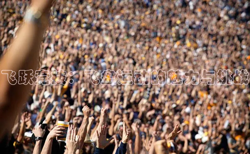 飞跃竞技：飞盘运动的魅力与挑战