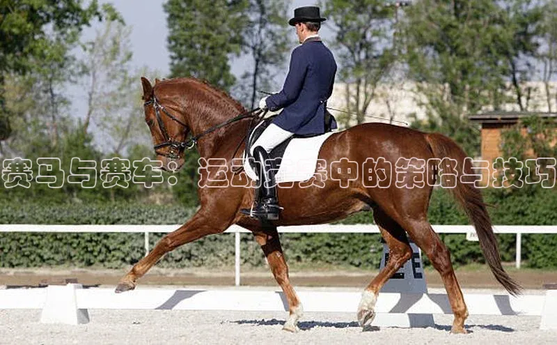 赛马与赛车：运动竞赛中的策略与技巧